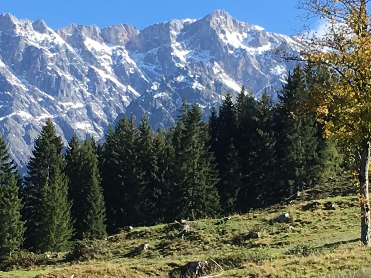 Villa Auhaeuslalm Maria Alm am Steinernen Meer Esterno foto